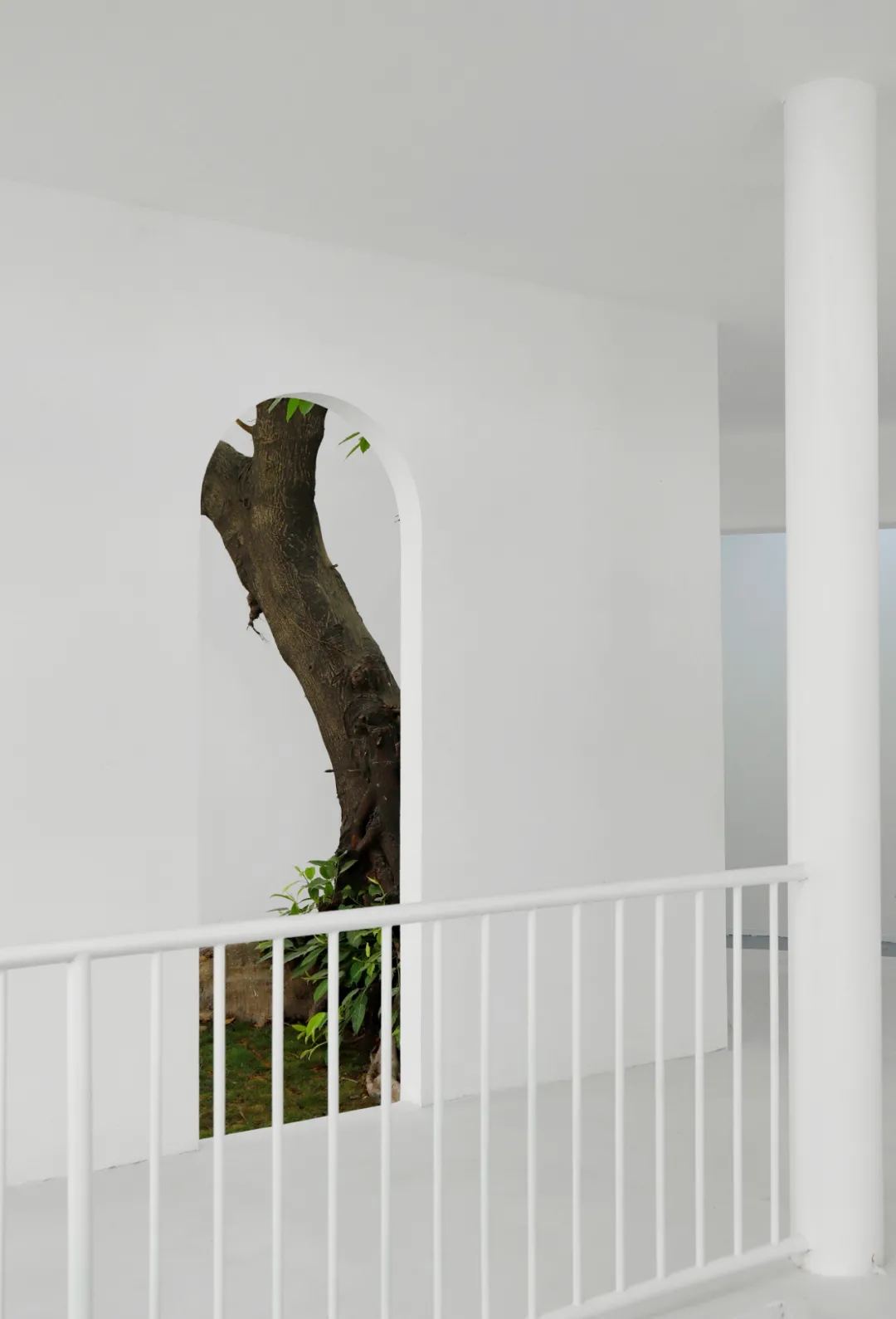 640 (1).webp (21).jpg