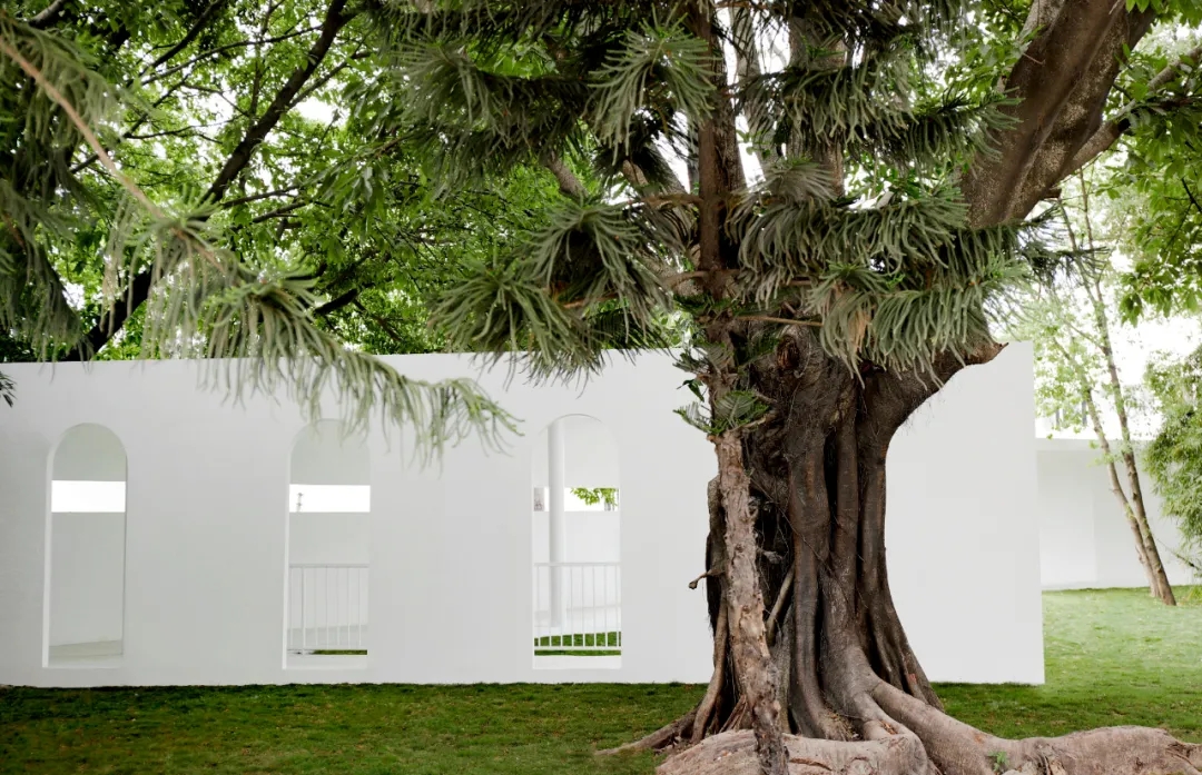 640 (1).webp (22).jpg